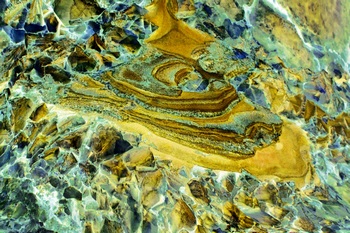 AP 134A